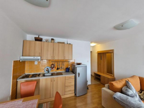 One-Bedroom Cozy Apartment in Donovaly